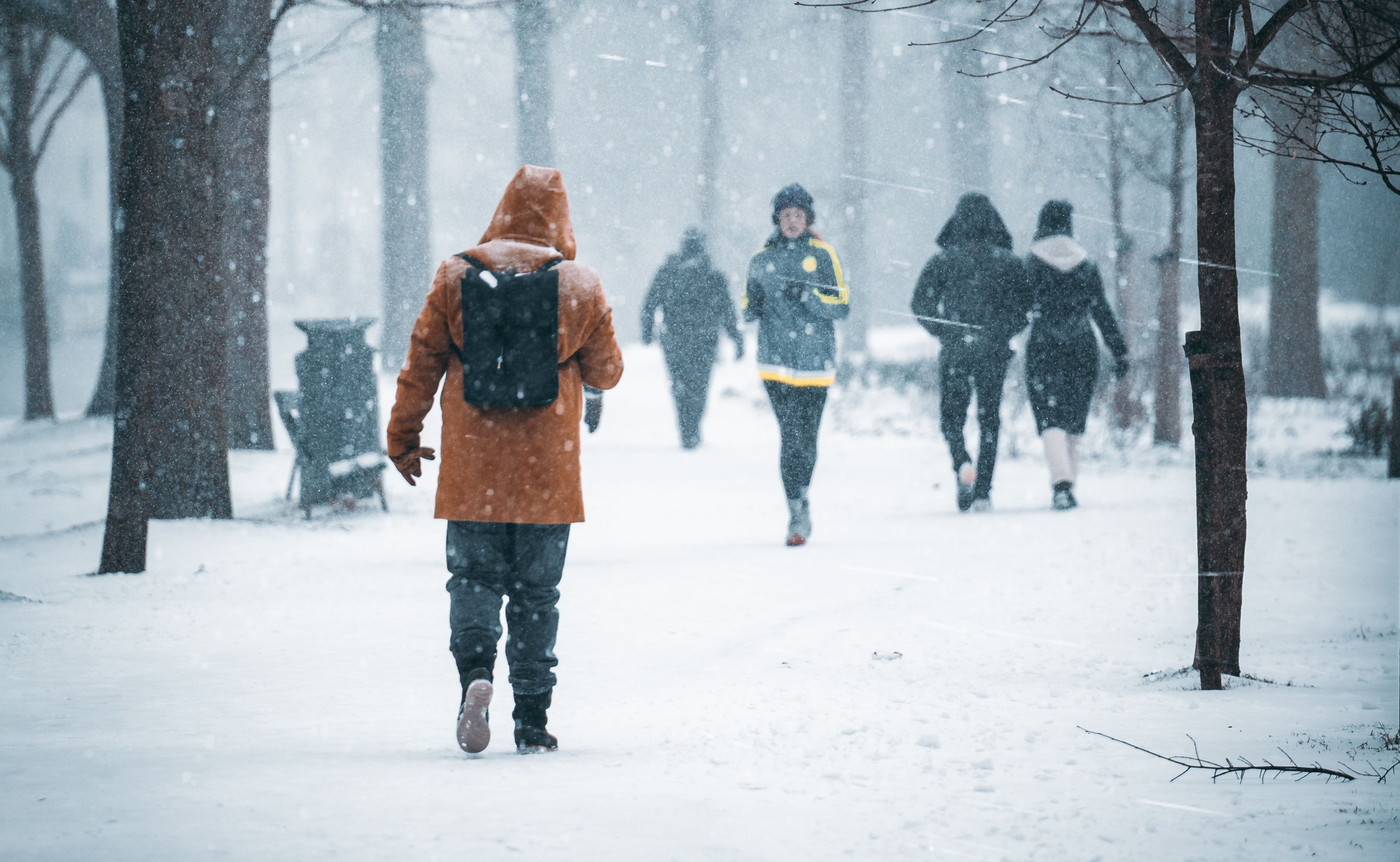 Žena běhá v zimě v parku. Počasí je velmi chladné a větrné. Sněží. Lidé nosí kapuce a teplé bundy, aby odolali mrazu.